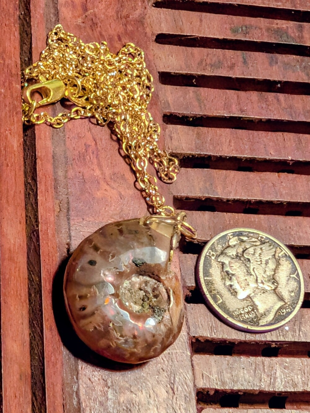 18kt Gold-filled Ammonite Pendant Necklace
